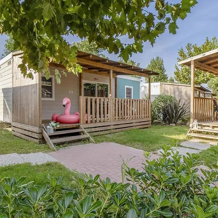 Campingplads Oasi 3*