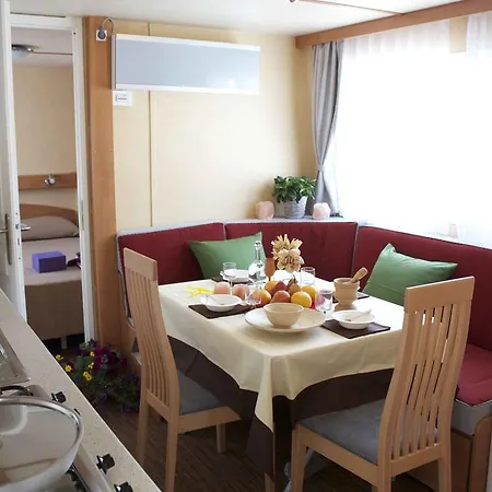 Kamp alanı Oasi