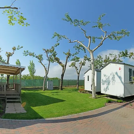 Oasi Kamp alanı 3*